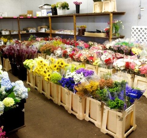 Wholesale Flowers All Year Round